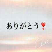 ヒメ日記 2025/08/24 15:57 投稿 弥生 変態美熟女お貸しします。