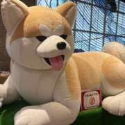 ヒメ日記 2025/11/01 06:17 投稿 弥生 変態美熟女お貸しします。