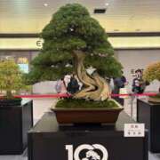 ヒメ日記 2025/11/17 07:07 投稿 弥生 変態美熟女お貸しします。