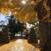 ヒメ日記 2025/12/06 08:37 投稿 弥生 変態美熟女お貸しします。