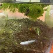 ヒメ日記 2025/12/17 07:47 投稿 弥生 変態美熟女お貸しします。