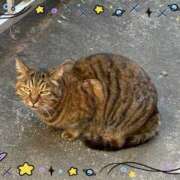 ヒメ日記 2026/02/12 06:37 投稿 弥生 変態美熟女お貸しします。