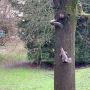 ヒメ日記 2026/02/27 08:57 投稿 弥生 変態美熟女お貸しします。