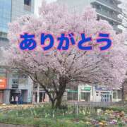 ヒメ日記 2026/03/25 17:27 投稿 弥生 変態美熟女お貸しします。