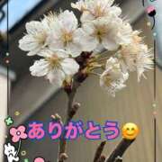 ヒメ日記 2026/03/28 17:27 投稿 弥生 変態美熟女お貸しします。