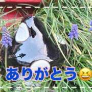 ヒメ日記 2026/04/13 11:27 投稿 弥生 変態美熟女お貸しします。