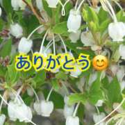 弥生 お礼の日記　4/19 変態美熟女お貸しします。