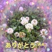 ヒメ日記 2026/05/11 18:37 投稿 弥生 変態美熟女お貸しします。
