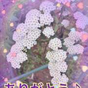 ヒメ日記 2026/05/15 17:37 投稿 弥生 変態美熟女お貸しします。