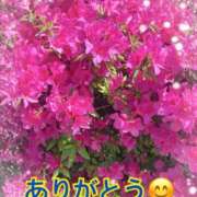 ヒメ日記 2026/05/20 17:17 投稿 弥生 変態美熟女お貸しします。