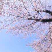 ヒメ日記 2026/04/08 21:18 投稿 みりあ 素人系イメージSOAP彼女感大宮館