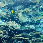 ヒメ日記 2025/10/02 19:01 投稿 白咲　のあ YUDEN～油殿～堺東店