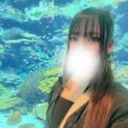 ヒメ日記 2025/10/31 00:14 投稿 白咲　のあ YUDEN～油殿～堺東店