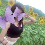 ヒメ日記 2026/03/29 03:45 投稿 ヒビキ PINK PLANET