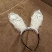 ヒメ日記 2025/12/15 09:31 投稿 ナナ COCOMERO（ココメロ）