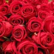 さちえ おはようございます 熟女家 東大阪店（布施・長田）