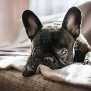 ヒメ日記 2026/01/19 13:29 投稿 ゆうな スリーパラダイス