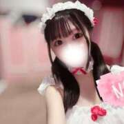 ヒメ日記 2025/08/16 12:24 投稿 みぃ チューリップ福井本館