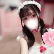 ヒメ日記 2025/09/15 01:14 投稿 みぃ チューリップ福井本館