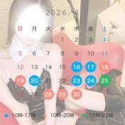 ヒメ日記 2026/04/16 20:16 投稿 蓮見　りんか やみつきエステ2nd札幌店