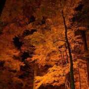 ヒメ日記 2025/11/26 22:32 投稿 せいは プロフィール 岡山店