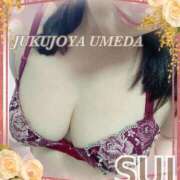 ヒメ日記 2025/09/10 10:01 投稿 すい 熟女家 梅田店