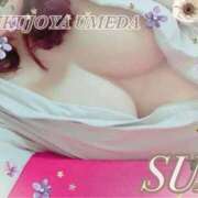 ヒメ日記 2025/09/20 11:59 投稿 すい 熟女家 梅田店