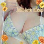 すい ★17日のお礼★ 熟女家 梅田店