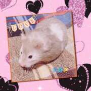 ヒメ日記 2025/07/09 16:05 投稿 くれあ 奥様特急　池袋・大塚店