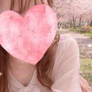 ヒメ日記 2026/04/16 07:59 投稿 高岡らん オトコのたしなみSPA