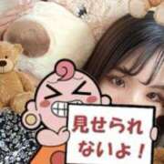 ヒメ日記 2025/06/28 09:57 投稿 川神 ほの Canx2京都店