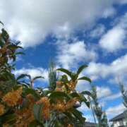 ヒメ日記 2025/10/13 13:17 投稿 川神 ほの Canx2京都店