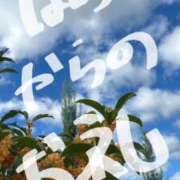 ヒメ日記 2025/10/17 11:57 投稿 川神 ほの Canx2京都店