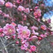 川神 ほの 昨日のお礼です💌 Canx2京都店