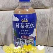 ヒメ日記 2025/09/02 01:20 投稿 いずみ 千葉北インターちゃんこ