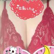 ヒメ日記 2025/12/31 22:25 投稿 いずみ 千葉北インターちゃんこ