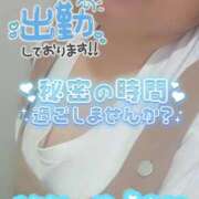 いずみ 出勤しました！ 千葉北インターちゃんこ