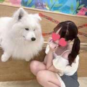 ヒメ日記 2025/07/16 12:23 投稿 ユン MEGA PALACE(メガパレス）