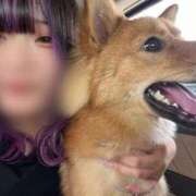 ヒメ日記 2025/07/12 15:21 投稿 おこめ マリン土浦本店