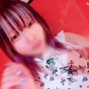 ヒメ日記 2025/11/04 17:02 投稿 おこめ マリン土浦本店