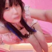 ヒメ日記 2025/11/12 00:11 投稿 おこめ マリン土浦本店