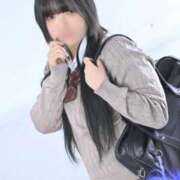 ヒメ日記 2025/11/18 10:11 投稿 おこめ マリン土浦本店