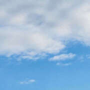 ヒメ日記 2025/11/27 08:01 投稿 わらび ハピネス水戸