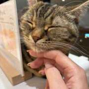 ヒメ日記 2025/08/14 11:16 投稿 薫 清楚