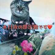 ヒメ日記 2025/10/08 10:58 投稿 薫 清楚