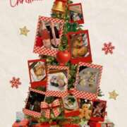 ヒメ日記 2025/12/16 13:50 投稿 薫 清楚