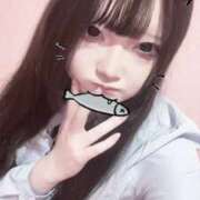 ヒメ日記 2025/06/28 11:22 投稿 ゆきな 萌えカワ