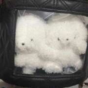 ヒメ日記 2025/11/21 21:32 投稿 ゆきな 萌えカワ