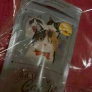 ヒメ日記 2025/12/24 22:12 投稿 ゆきな 萌えカワ