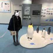 ヒメ日記 2026/02/02 14:52 投稿 ゆきな 萌えカワ